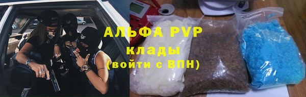 спайс Бородино