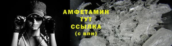 молекула духа Бронницы