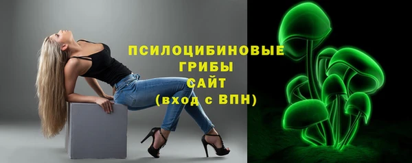 спайс Бородино