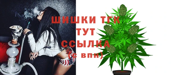 спайс Бородино
