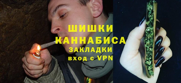 спайс Бородино