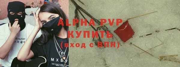 спайс Бородино